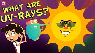 ULTRAVIOLET RAYS  How Harmful Are UV Rays  Ultraviolet Radiation  Dr Binocs Show  Peekaboo Kidz [upl. by Colton218]