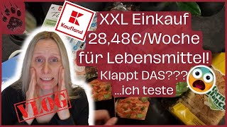 SPAREN extrem günstiger XXL VORRAT Wocheneinkauf 2848€ 😱 KLAPPT DAS foodhaul budgetplanung vlog [upl. by Robinson]