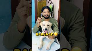 Pogo Makeup Kit Kha Gya😂😂 shorts vlog minivlog puppy labrador [upl. by Wixted]