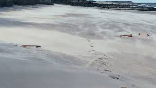 Coastal erosion in East Lothian [upl. by Pancho]