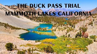 THE DUCK PASS TRAIL MAMMOTH LAKES CALIFORNIA [upl. by Col891]