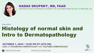 DERMPATH Histology of Normal Skin and Intro to Dermatopathology [upl. by Etheline]