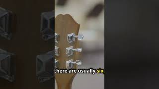 Guitar 101  Parts of An Acoustic Guitar guitar eventhighlights musicalequipment eventmusician [upl. by Atiuqahc686]