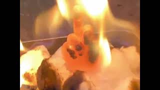 Burning Middle finger with fire cotton balls and rubbing alcohol [upl. by Snevets980]