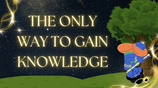 The only way to gain knowledge [upl. by Jefferey]