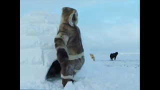 Building My First Igloo  A Boy Among Polar Bears  BBC Earth [upl. by Marchelle31]