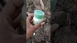 Azoxystrobin 182 Difenoconazole 114 fungicide use in hindi magnite fungicide [upl. by Earaj]