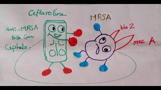 Evolution of Beta Lactam Resistance in Staphylococcus aureus Comic illustration [upl. by Christianson]