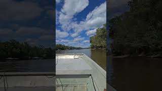 18ft 83 monark flatboat 100hp boatriverboat flatbottom johnsonhoursepower river sandbanks [upl. by Cleaves240]