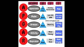 समझे APGAR SCORE हिंदी मेंAPGAR Score ANMNursinglets study by Sandhyanursing [upl. by Ignatzia]