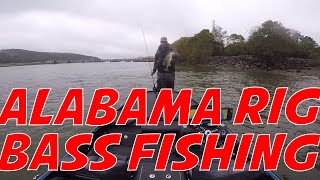 FIshing below the Guntersville Dam on Lake Wheeler for some Bass Alabama Rig Bass Fishing [upl. by Enneirdna515]