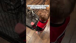 Chore Time toddlers pitbull goodboy shorts parentingwin [upl. by Adrianne]