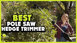 ✅5 Best Pole Saw Hedge Trimmer Combo of 2023 [upl. by Lua]