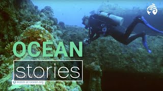 A year of oceanorg  Ocean Stories [upl. by Botsford922]