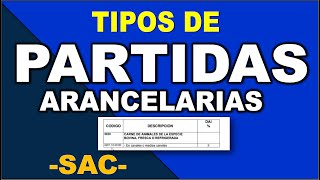 Tipos de PARTIDAS ARANCELARIAS 4 dígitos ESTRUCTURA DEL SAC [upl. by Jillana]