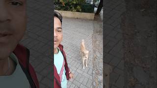 Thara Bhai joginder Roast tharabhaijoginder roast shorts shortfeed [upl. by Limak]