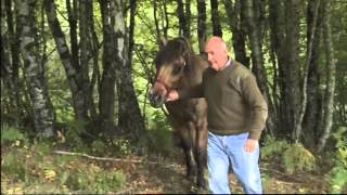 Animaux  Le quotidien dun véterinaire de campagne du Cantal [upl. by Lorianne552]