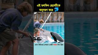 এই ডলফিন ছেলেটিকে অনুসরণ করে shorts shortsvideo [upl. by Attelrak776]