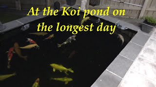 koi pond skimmer how to [upl. by Atsyrt]