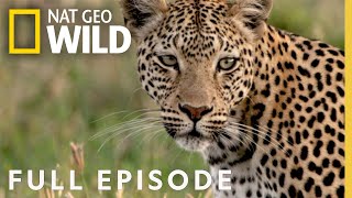 Leopards Rock Full Episode  Savage Kingdom [upl. by Barkley]