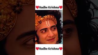 ❤️Hare krishna❤️india love lordskrishna harekrishna viralvideo [upl. by Janot548]