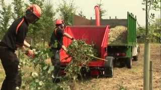 TIMBERWOLF TW SX200PHBc GREEN WASTE SHREDDER [upl. by Urata770]