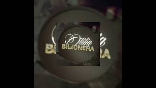 Otilia  Bilionera REMIX [upl. by Aitam703]