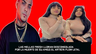 LAS MELLAS FRESH  LLORAN DESCONSOLADAS EN UN VIDEO COLGADO EN SU INSTAGRAM [upl. by Letitia]