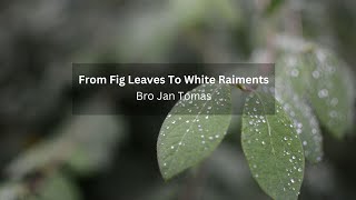 From Fig Leaves To White Raiments  Bro Jan Tomas [upl. by Nibbs]