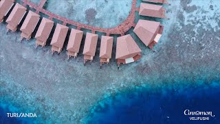 Maldive  Cinnamon Velifushi  Azure  TURISANDA [upl. by Ibby]