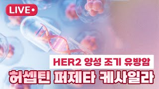 HER2 양성 조기 유방암 허셉틴 퍼제타 케사일라 [upl. by Eadrahc]