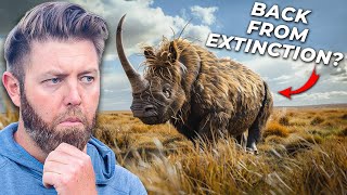 6 Extinct Animals That Could Actually Come Back [upl. by Socram]