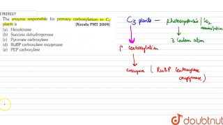 The enzyme resonsible for primary carboxylation in C3 plants is [upl. by Nic786]