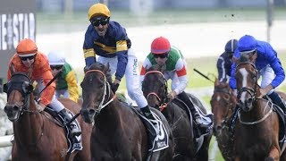 2019 ATC The Doncaster Mile [upl. by Kelcie]