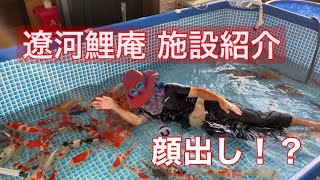 錦鯉 【遼河鯉庵】設備紹介 真冬の飼育環境を公開！ koi [upl. by Fidelis]