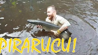 PEIXE PIRARUCU NA AMAZÔNIA [upl. by Gaye]