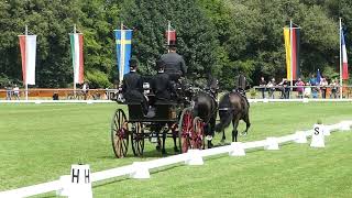 Simonet Edouard BEL TEAM FEI EU CH H4 CHI Donaueschingen Dressage 16 08 2019 [upl. by Jacoby8]