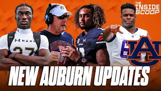 Auburn Intel on USC QB Flip Target Julian Lewis  Biggest Needs for Hugh Freeze to Fill [upl. by Joan627]