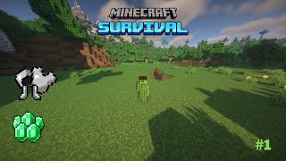 Mükemmel Bir Başlangıç MİNECRAFT Survival 1 [upl. by Tterrag]