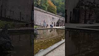 Heidelberg Castle Germany State of Baden Württemberg germancity nature travel history tram [upl. by Fellner]