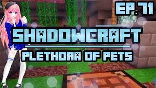 Plethora of Pets  ShadowCraft  Ep 71 [upl. by Morel130]