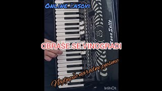 OBRAŠE SE VINOGRADI [upl. by Pia]