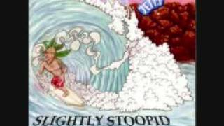 Slightly Stoopid  Mr Music [upl. by Cacie793]