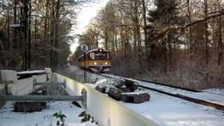 Øsjs Ytog Ytrain pass through Ganneskov forest towards Køge [upl. by Nirel]