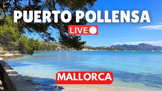 🔴LIVE in Puerto Pollensa Mallorca Majorca  15 June 2024 [upl. by Kancler]