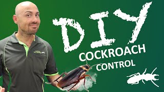 What are the different cockroaches in Australia DIY Pest Control [upl. by Sholes814]