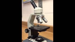 Parts amp Functions of Microscope [upl. by Anilahs]