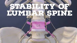 Stability of lumbar spine [upl. by Soren]