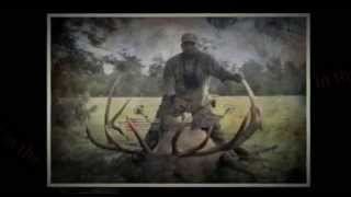 2013 Bull Elk Calendar with hunter Tim Stevens [upl. by Dre130]