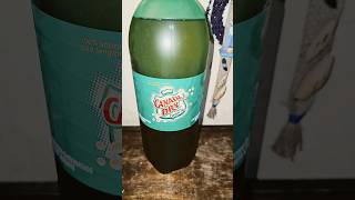 Canada Dry Ginger Ale Open Box [upl. by Lovell]